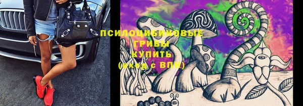 прущая мука Саяногорск