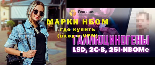 прущий лед Алзамай